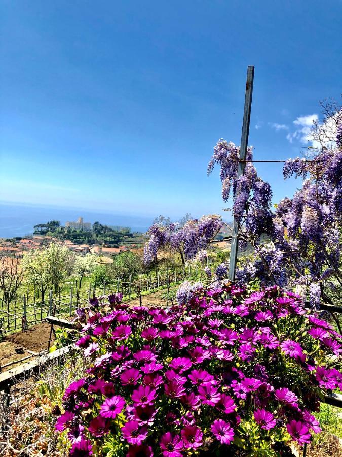 Apartamento La Casa Dei Nonni Agerola Exterior foto